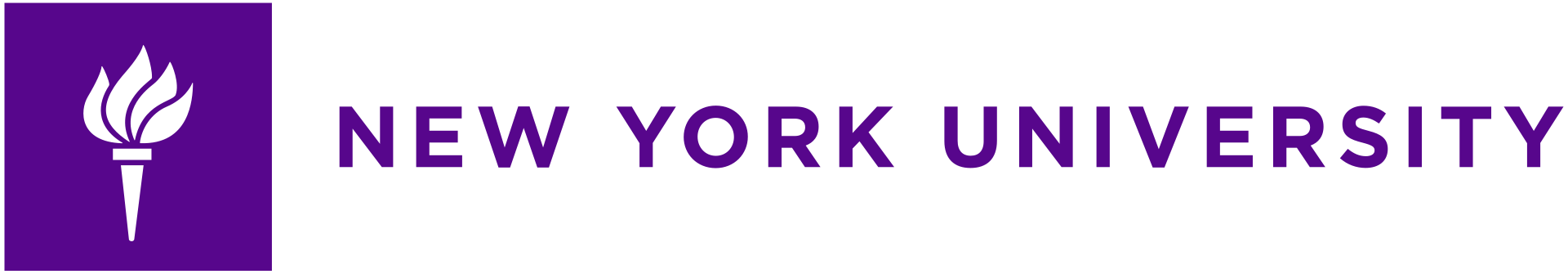 New York University